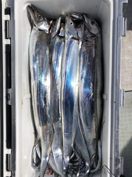 フィッシング　キッタカ 釣果