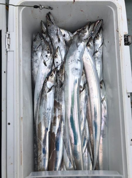 フィッシング　キッタカ 釣果