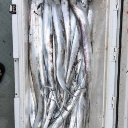 フィッシング　キッタカ 釣果