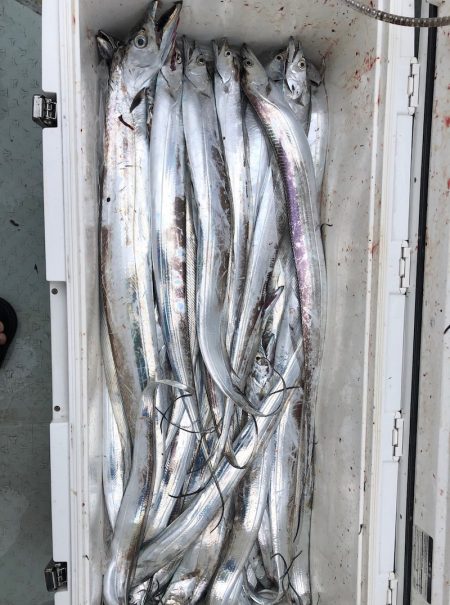 フィッシング　キッタカ 釣果