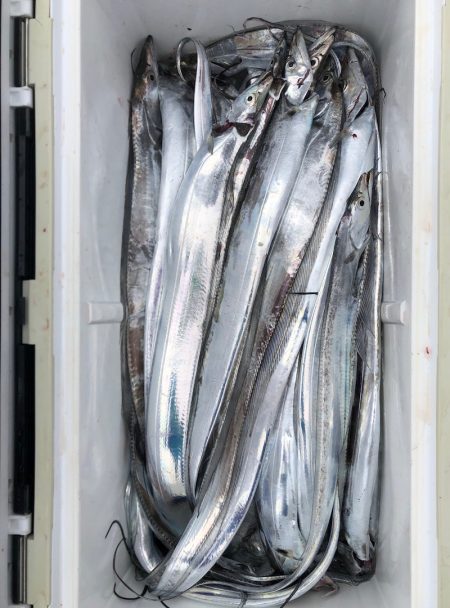 フィッシング　キッタカ 釣果