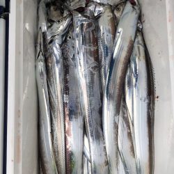 フィッシング　キッタカ 釣果