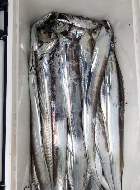 フィッシング　キッタカ 釣果