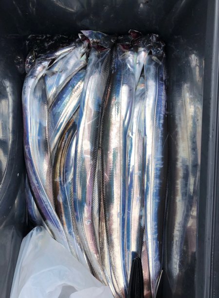 フィッシング　キッタカ 釣果