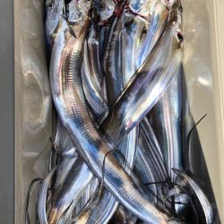 フィッシング　キッタカ 釣果