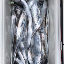 フィッシング　キッタカ 釣果