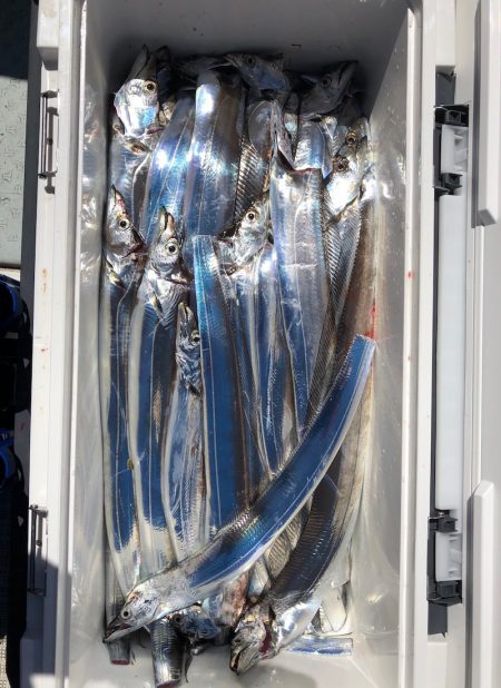 フィッシング　キッタカ 釣果