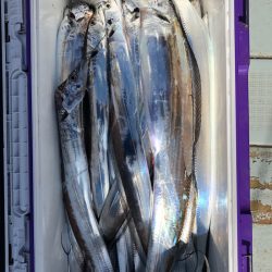 フィッシング　キッタカ 釣果