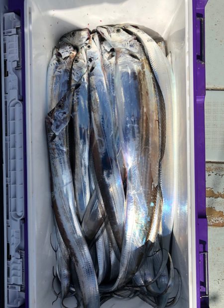 フィッシング　キッタカ 釣果