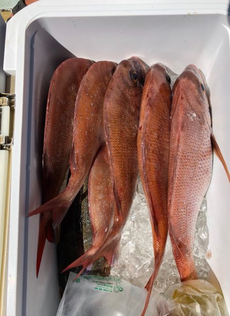 フィッシング キッタカ 釣果