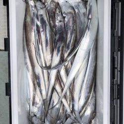 フィッシング　キッタカ 釣果