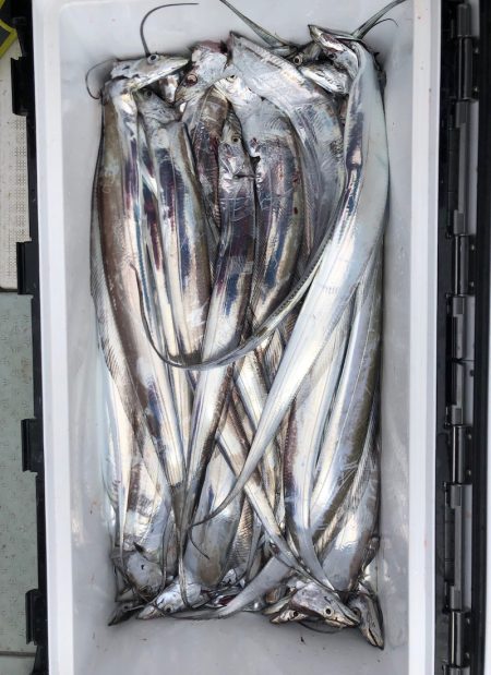 フィッシング　キッタカ 釣果