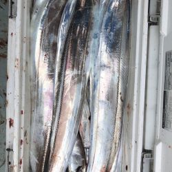 フィッシング　キッタカ 釣果