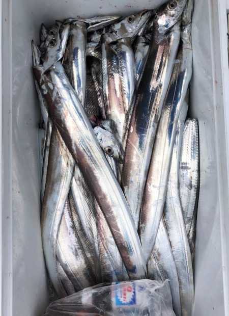 フィッシング キッタカ 釣果