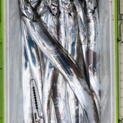 フィッシング　キッタカ 釣果