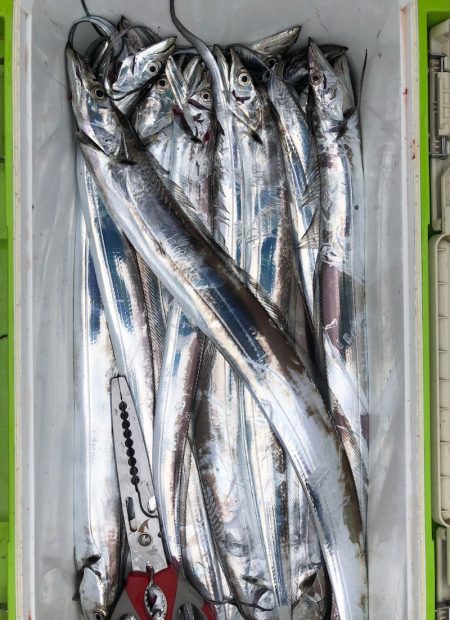 フィッシング　キッタカ 釣果