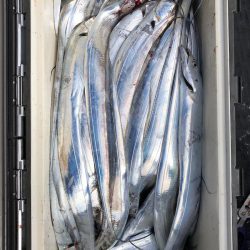 フィッシング　キッタカ 釣果