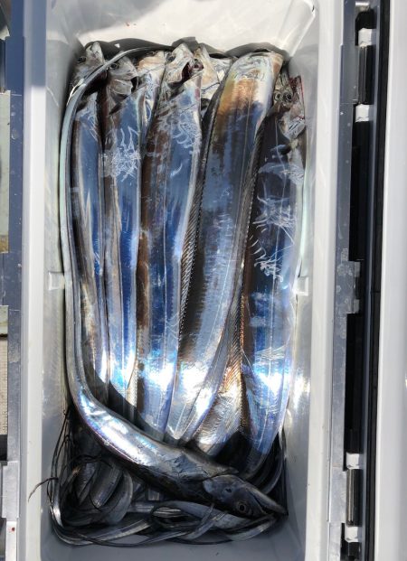 フィッシング　キッタカ 釣果