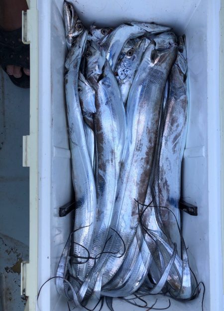 フィッシング　キッタカ 釣果