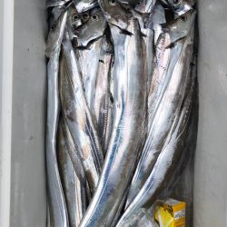 フィッシング　キッタカ 釣果