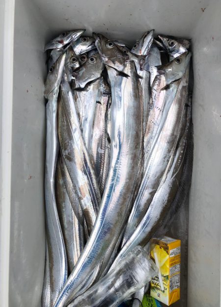 フィッシング　キッタカ 釣果