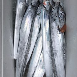 フィッシング キッタカ 釣果