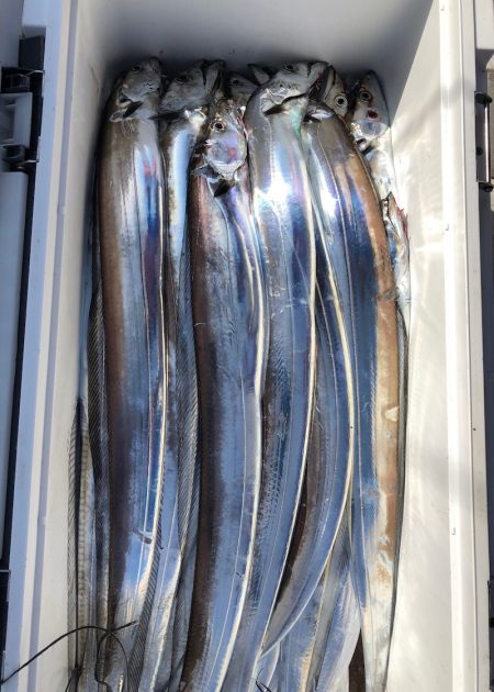 フィッシング　キッタカ 釣果