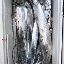 フィッシング　キッタカ 釣果