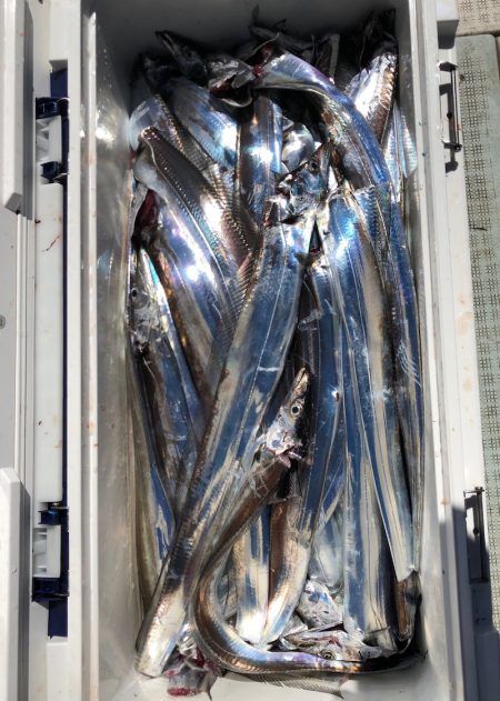 フィッシング　キッタカ 釣果