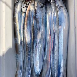 フィッシング　キッタカ 釣果