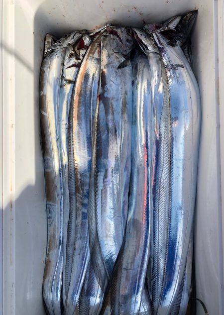 フィッシング　キッタカ 釣果