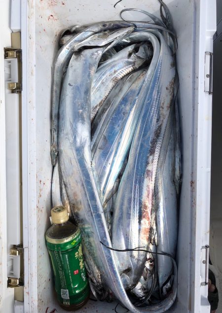 フィッシング　キッタカ 釣果