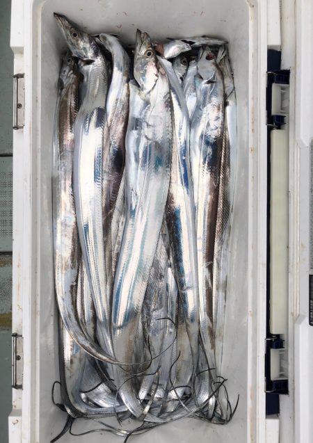 フィッシング キッタカ 釣果