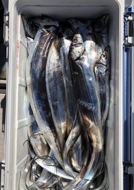 フィッシング　キッタカ 釣果