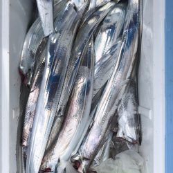 フィッシング キッタカ 釣果