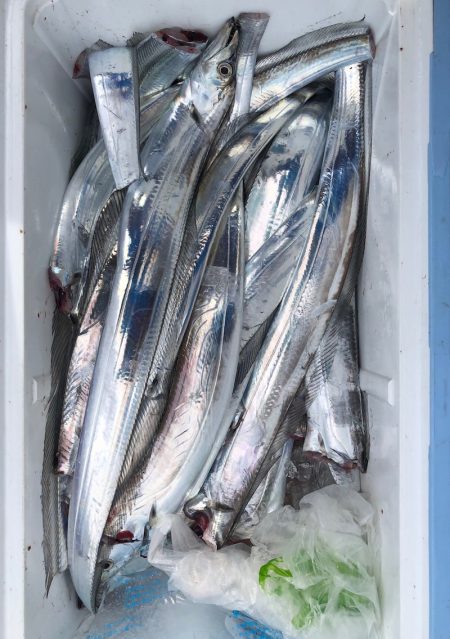 フィッシング キッタカ 釣果