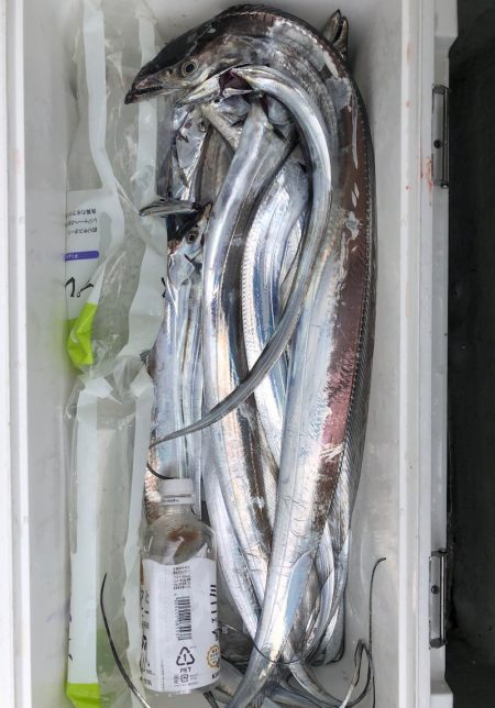 フィッシング　キッタカ 釣果