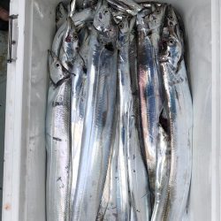 フィッシング　キッタカ 釣果