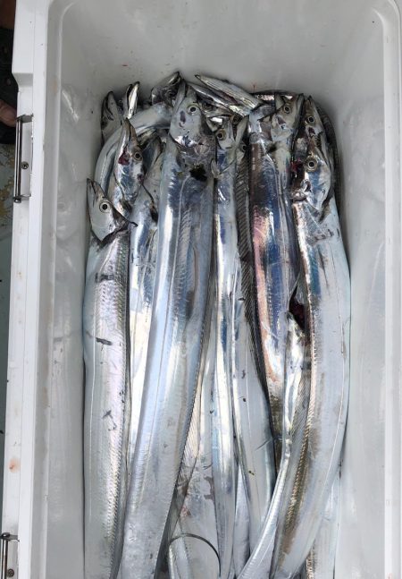 フィッシング　キッタカ 釣果