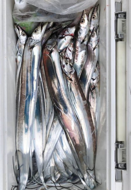 フィッシング　キッタカ 釣果