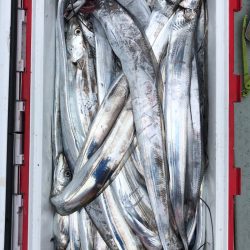 フィッシング　キッタカ 釣果