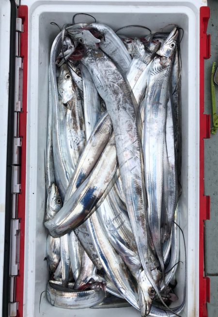 フィッシング　キッタカ 釣果