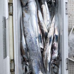 フィッシング キッタカ 釣果