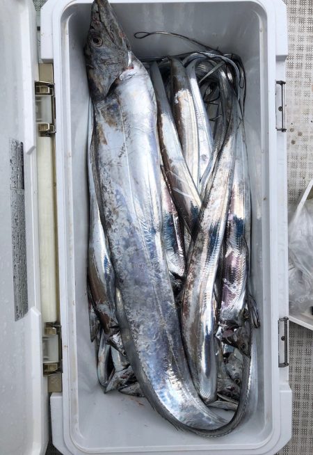 フィッシング キッタカ 釣果