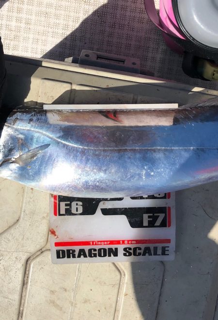 フィッシング　キッタカ 釣果