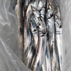 フィッシング　キッタカ 釣果