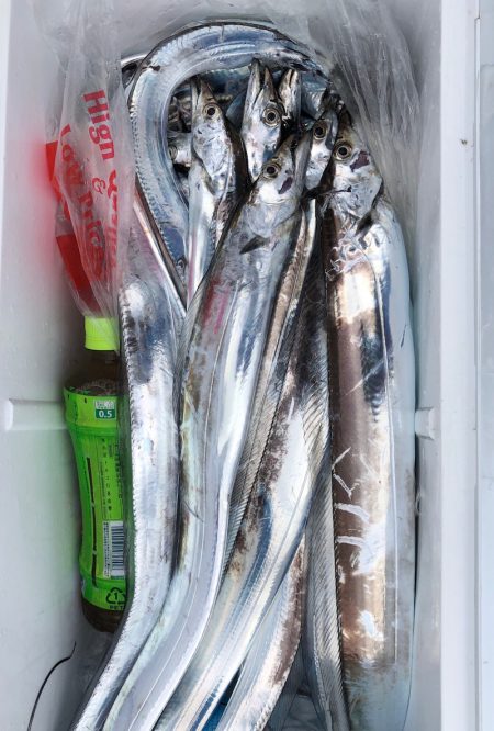 フィッシング キッタカ 釣果