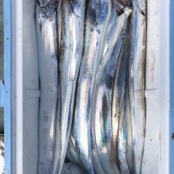 フィッシング　キッタカ 釣果