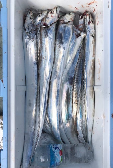 フィッシング　キッタカ 釣果