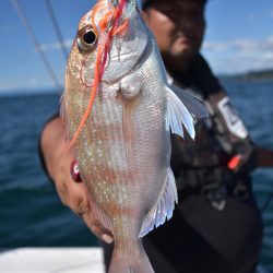 渡船屋たにぐち 釣果